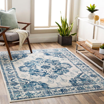 Area Rugs - Delney Vintage Boho Blue Rug Bedroom - Beige Gray Floral Medallion Stain Resistant Carpet (5'3" x