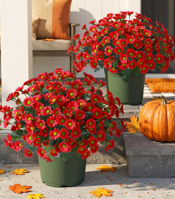 Artificial Mums for Outdoors Fall Decor, 6 Bundles Fake Flowers UV Resistant Realistic Faux Flowers Bouquet Silk
