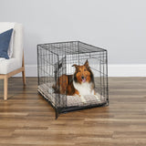 36-Inch iCrate for Medium-Large Breeds, 41-70 lbs, Single Door Folding Dog Crate with Divider Panel