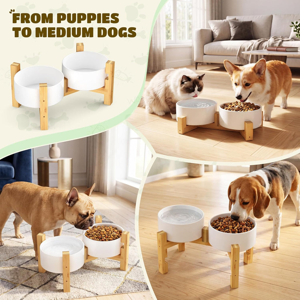 Elevated Dog Bowls with Adjustable Bamboo Stand, Ceramic Dog Food and Water Bowl Set, Raised Dog Bowl for Small &