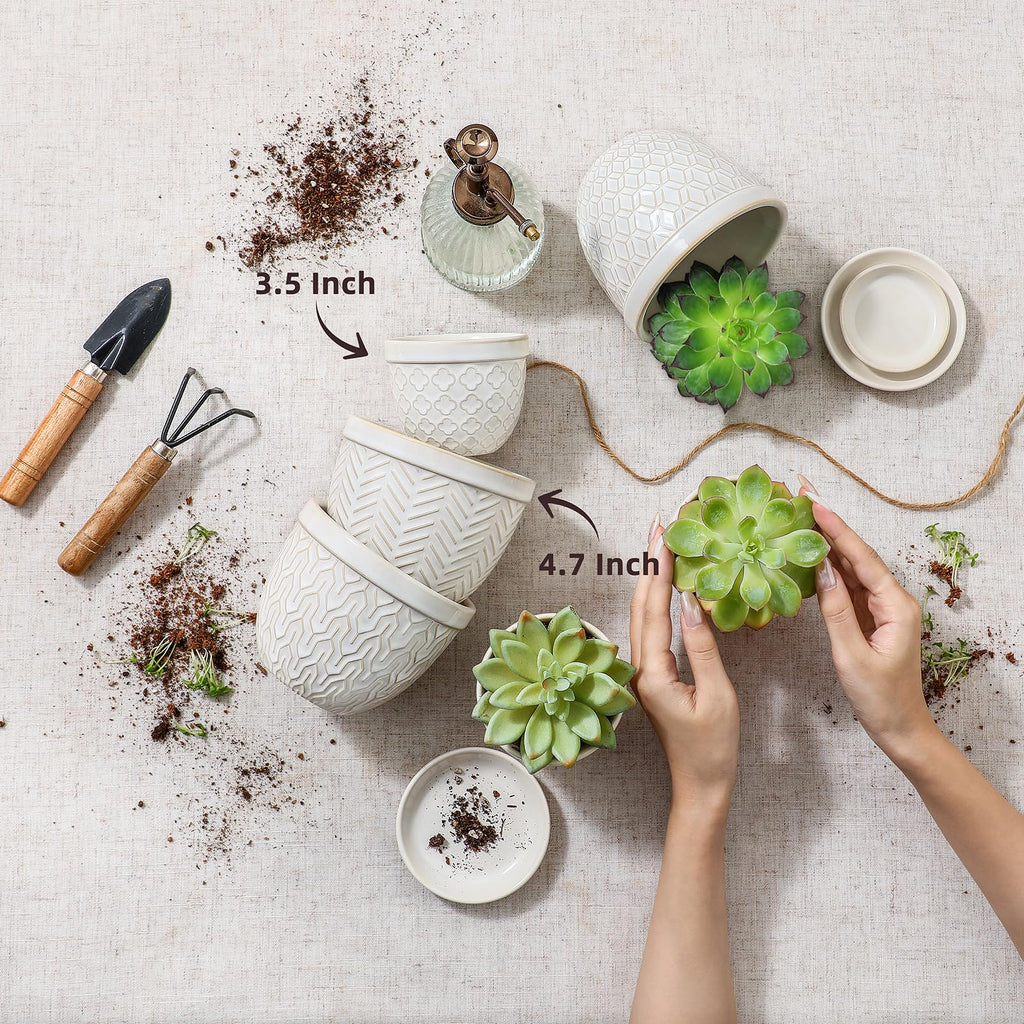 3.5" Embossed Ceramic Succulent Pots with Saucers and Mesh, Glazed White
