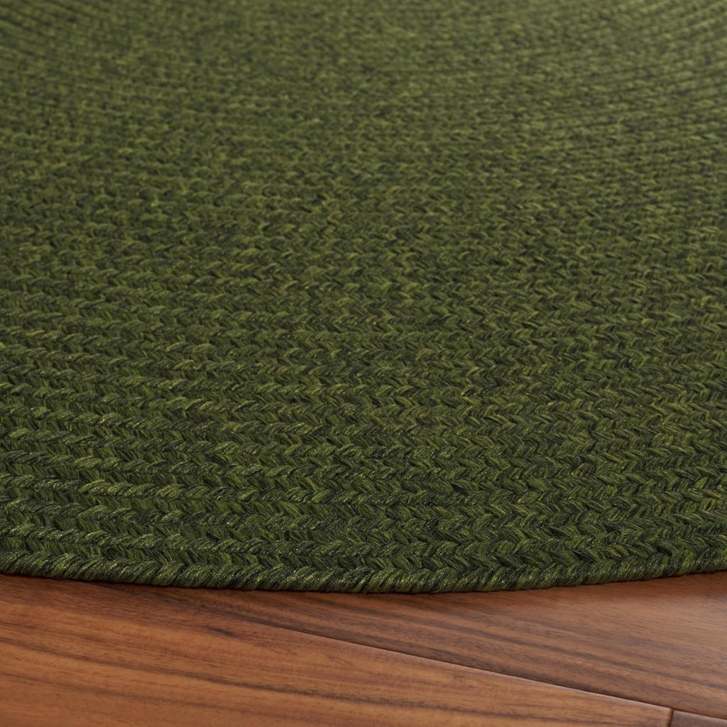 Braided Indoor/Outdoor Washable Oval Rug, Green BRD315A