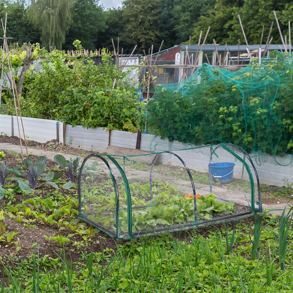 Foil Greenhouse, Plug-in System, Roll-Up Door, H x W x D: 50 x 130 x 60 cm, Steel & PVC, Transparent, Green