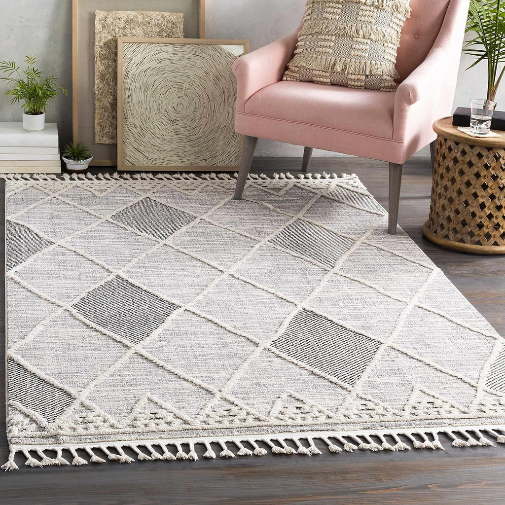 Norvelt Hallway, Kitchen Runner Rug - Geometric Diamond Trellis Striped Border - Bohemian Transitional Moroccan Boho