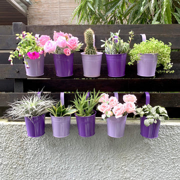 LaLaGreen Outdoor Rail Planter (4 in, 10 Pack) Purple Metal Railing Pots