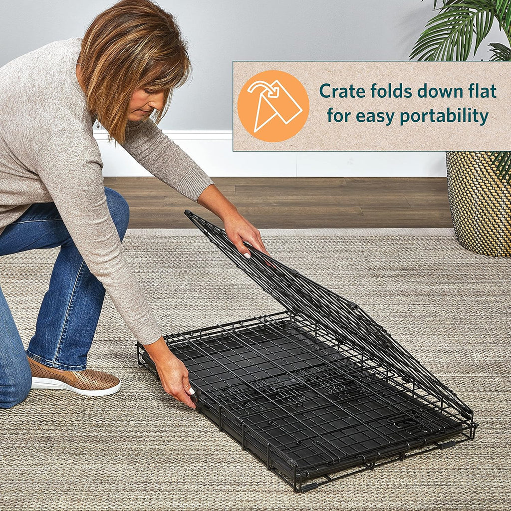 Intermediate LifeStages Single Door 36-Inch Folding Dog Crate, Enhanced Security, Includes Leak-Proof Pan