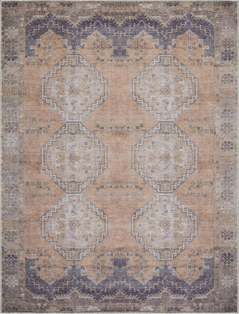 Carrabelle Machine Washable Area Rug - Medallion Geometric Border Distressed Faded - Traditional Oriental