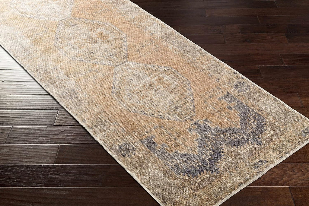 Carrabelle Machine Washable Area Rug - Medallion Geometric Border Distressed Faded - Traditional Oriental