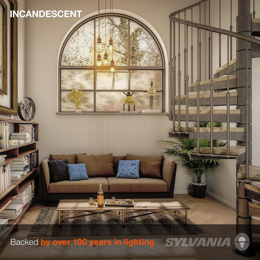 Incandescent Double Life Décor Globe Light Bulb, 40W, G25, Medium Base, 265 Lumens, Frosted, 2850K, Soft White - 3