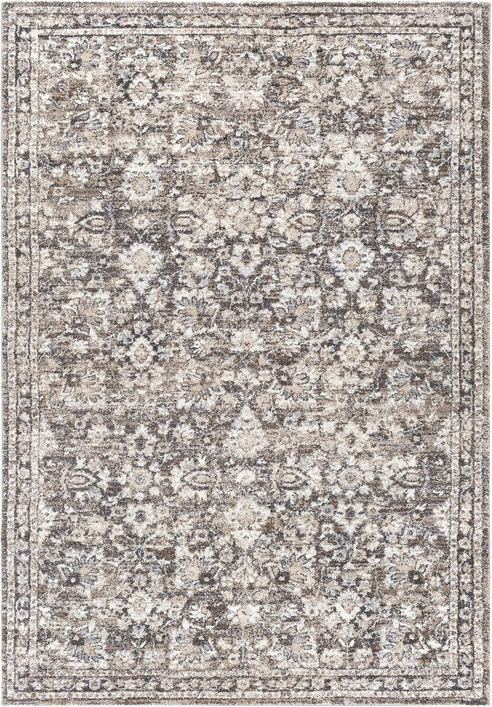 Borobudur Area Rug - Floral Damask Border Medallion Distressed - Traditional Oriental Transitional Turkish - High