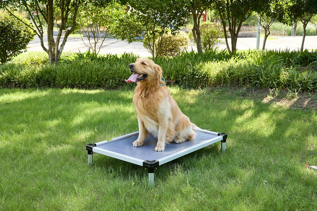 Elevated Dog Bed 42x28 Inch, Chew Resistant Raised Dog Cot, Waterproof Cooling Pet Bed for Indoor Outdoor Use