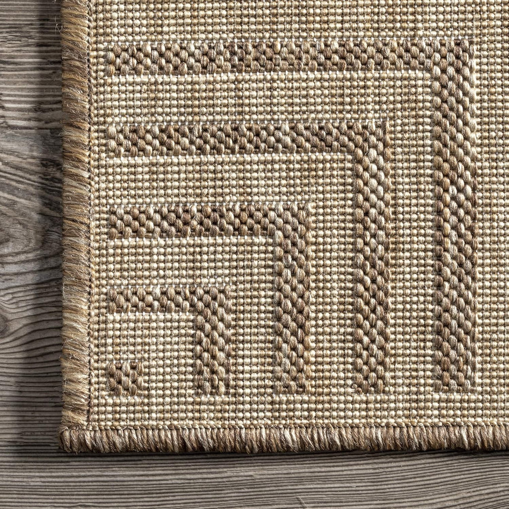 Asha Light Brown Bordered Indoor/Outdoor Area Rug, 5' x 8'