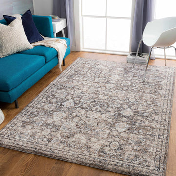 Borobudur Area Rug - Floral Damask Border Medallion Distressed - Traditional Oriental Transitional Turkish - High