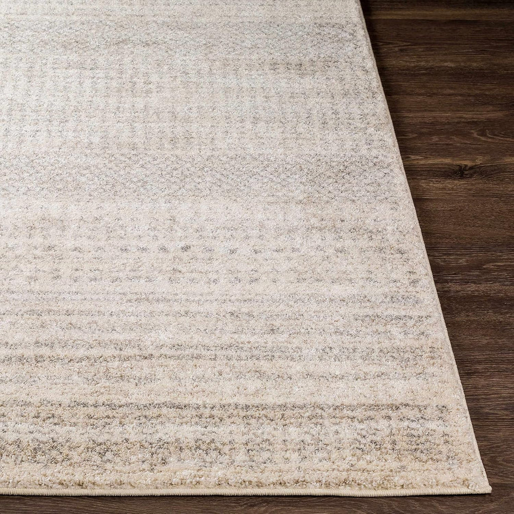 Harpursville Area Rug - Abstract Ombre Faded - Contemporary Modern Scandinavian Minimalist Transitional - High Pile