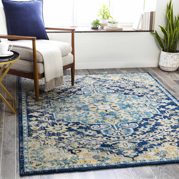 Lexington Living Room, Bedroom Area Rug - Medallion Floral Border Distressed Abstract - Traditional Oriental