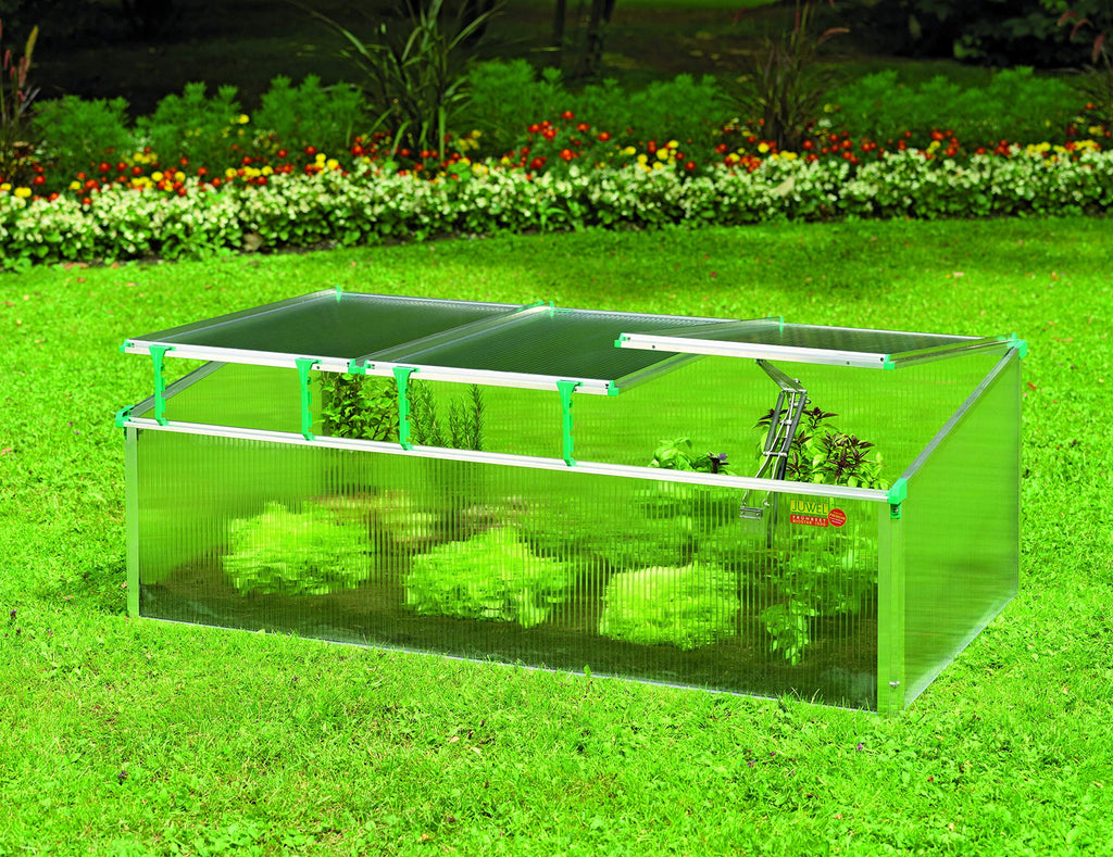 BioStar 1500 Premium Cold Frame