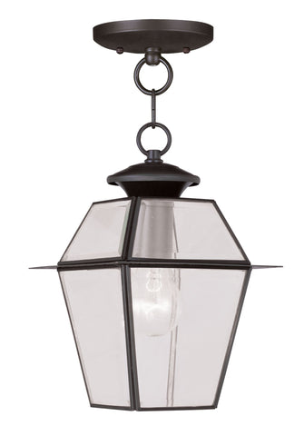 Livex Westover 1 Light Bronze Outdoor Chain Lantern  - C185-2183-07