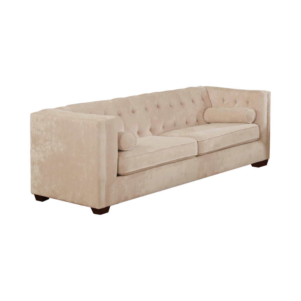 Set of 2 - Cairns Tuxedo Arm Tufted Sofa + Loveseat Almond - D300-10025
