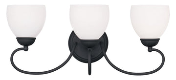 Livex Brookside 3 Light Black Bath Light - C185-4753-04
