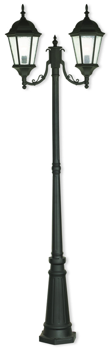 Livex Hamilton 2 Light TBK Outdoor Post Light - C185-75476-14