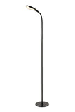 ZC121-LEDFL004 - Regency Decor: Illumen Collection 1-Light matte black Finish LED Floor Lamp